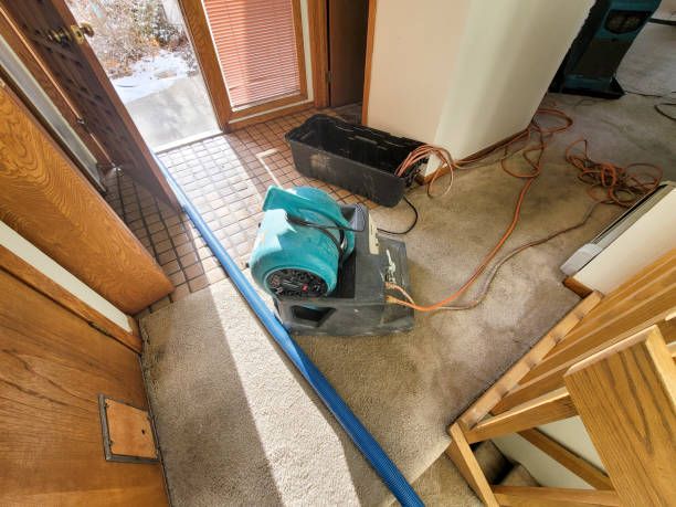  Winters, CA Water damage restoration Pros