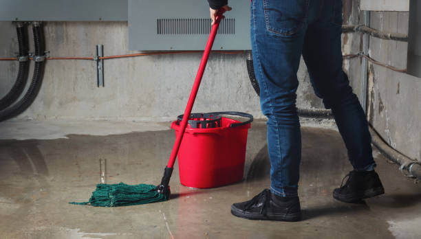 Best Fire Damage Restoration  in Winters, CA