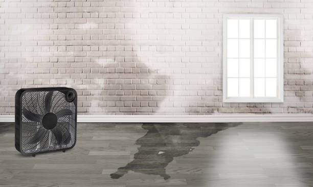 Best Commercial water damage restoration  in Winters, CA