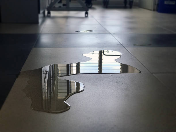 Best Water damage restoration near me  in Winters, CA