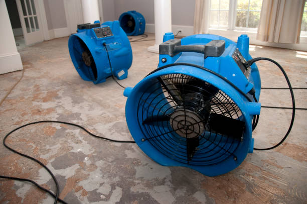 Best Ceiling water damage repair  in Winters, CA