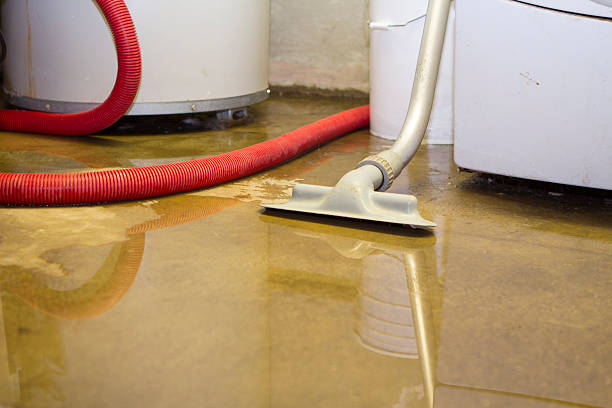 Best Carpet water damage restoration  in Winters, CA